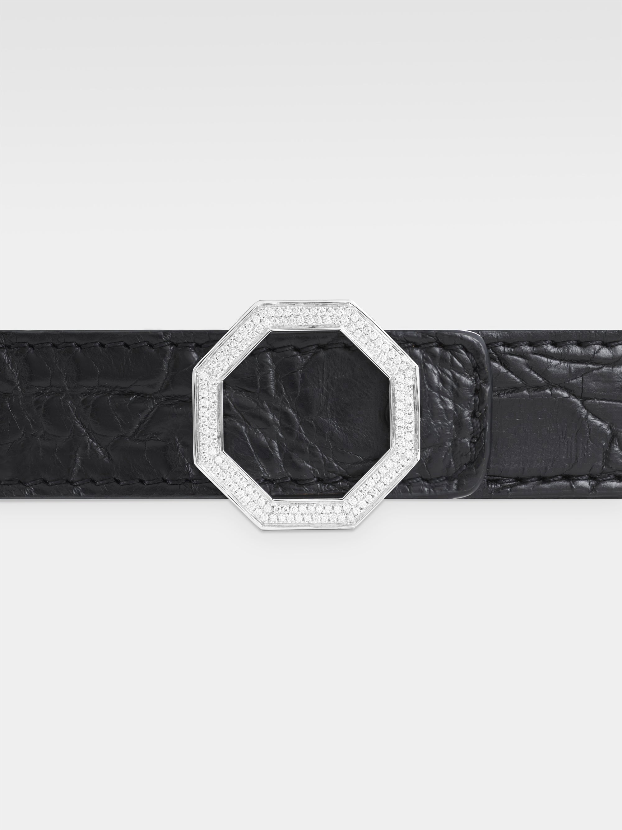 Andromeda Belt - Black Caiman